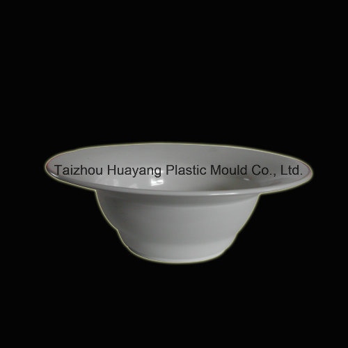 Injection Mould for Plastic Flower Pot (HY025)