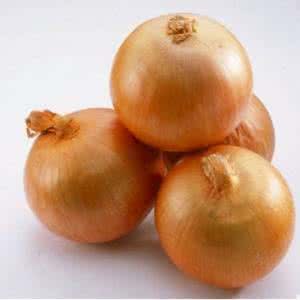 Fresh Yellow Onion with Competitive Price