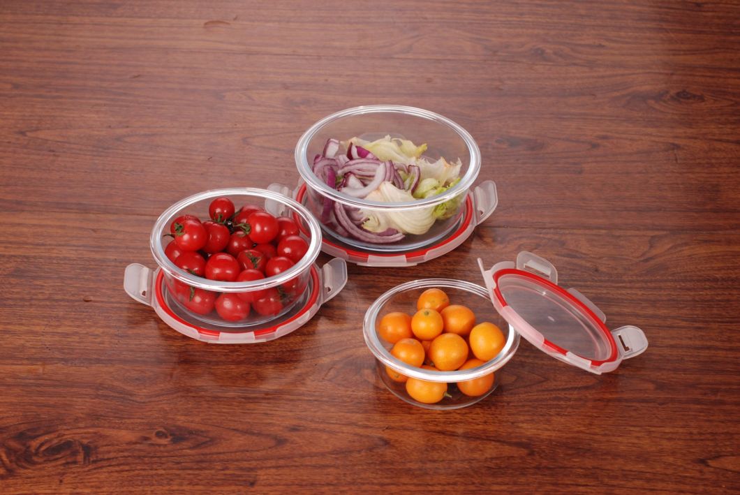 Airtight Glass Food Bento Lunch Box