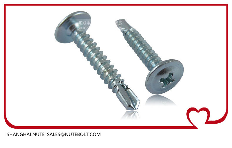 Stainless Steel 304 316 410 Self Drilling Screws St2.9 to St6.3, Flat Head, Pan Head, Hex Washer Head, Truss Head, and So on.