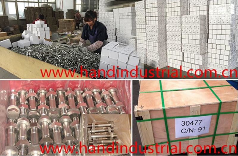 Stainless Steel Bolt ASME A194 B8 B8m M27 Hexagonal Nut