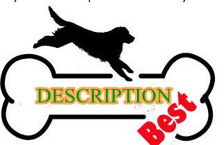 Pet Supply, Knitted Fabric and Cotton Cloth Pet Mat and Pillow