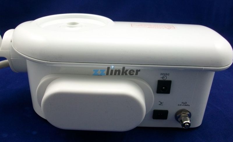 with Bottle Woodpecker Dte-D7 Dental Ultrasonic Scaler