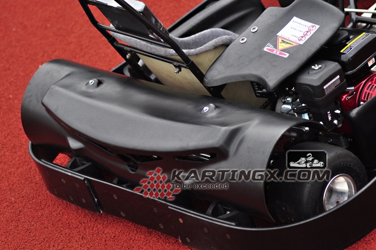 168cc/200cc/270cc Fashion Beatle Gas Racing Go Kart Electric Start