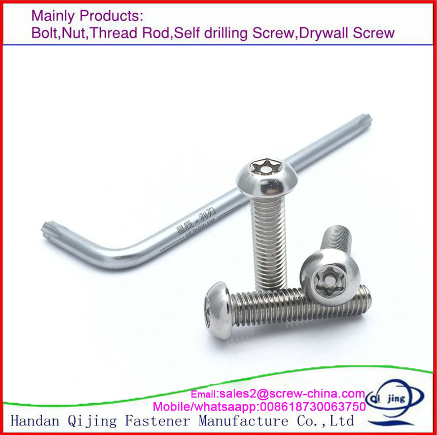 Stainless Steel Torx Pin Screws, Stainless Steel Torx Head Security Screw