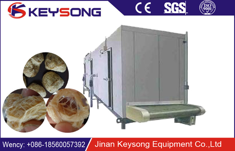 Industrial Extrusion Snacks Food Dryer Oven for Food Drying