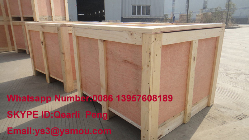 4 Cavities Thin Wall Cup Mould