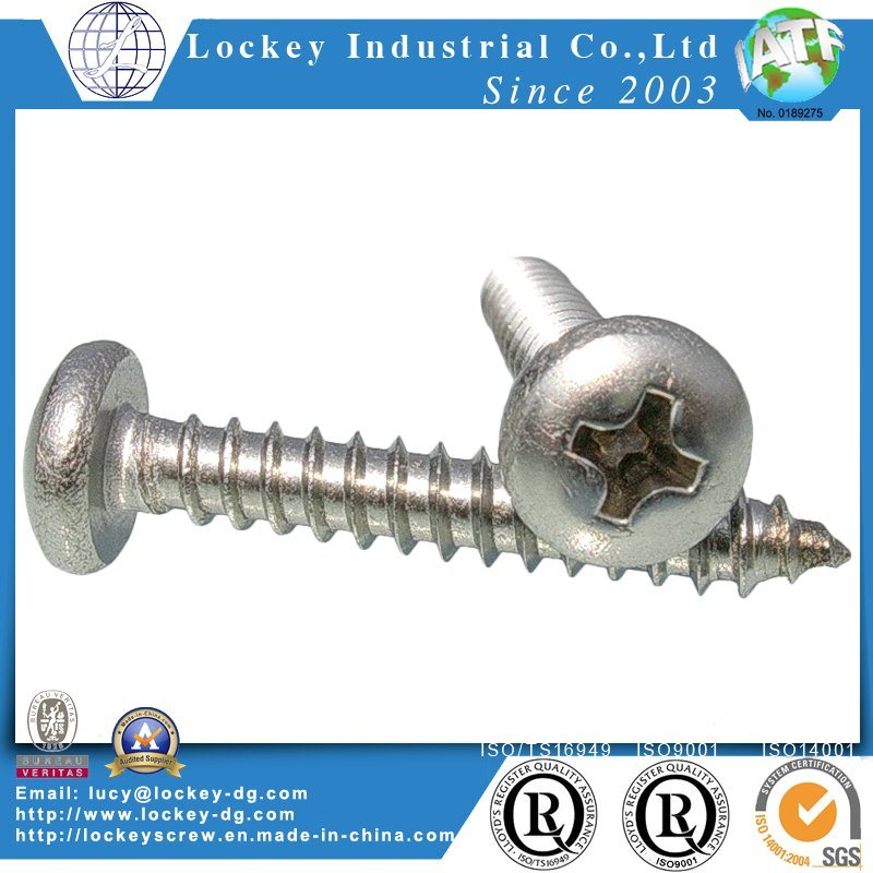 Hex Socket Head Self Tapping Screw Deck Screw