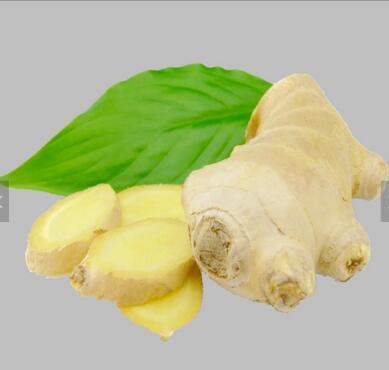 Good Quality Unspoiled Plump Clean Yellow Color Chinese Fresh Ginger