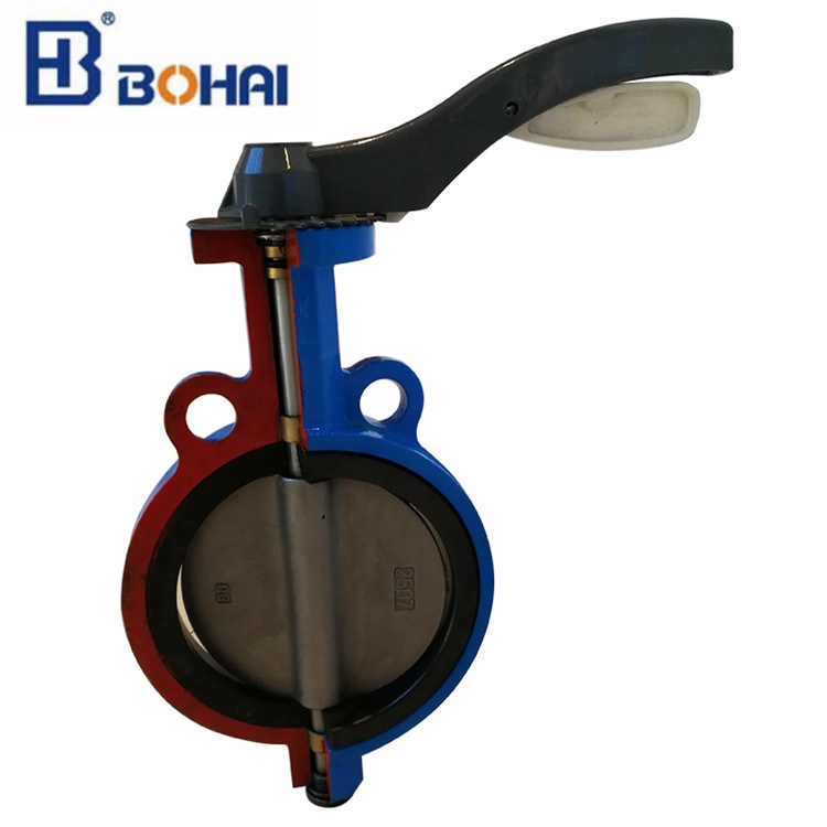 Lugged Type Butterfly Valve