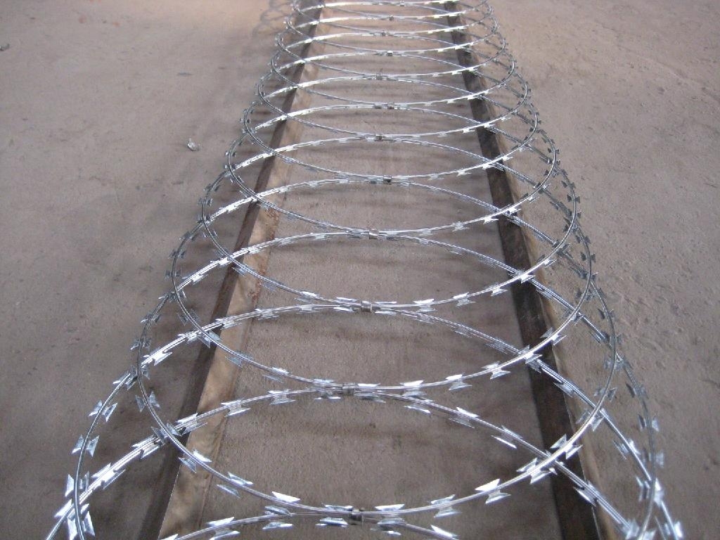 Electric Galvanized/Hot-Dipped Galvanized Razor Barbed Wire