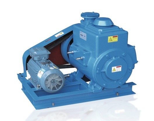 Sliding Vane Rotary Vacuum Pump for Vacuum Coating