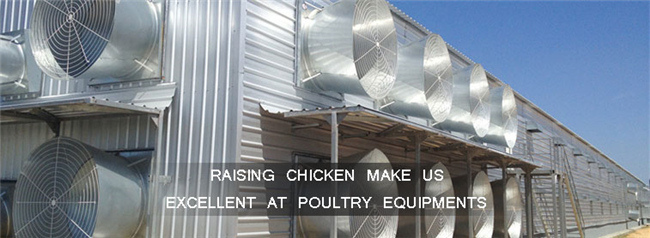 Environment Control Poultry Air Ventilation System