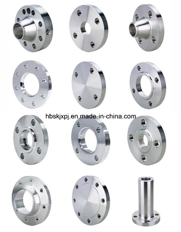 ANSI JIS DIN BS GB Standard Carbon Steel Stainless Steel Pipe Flange