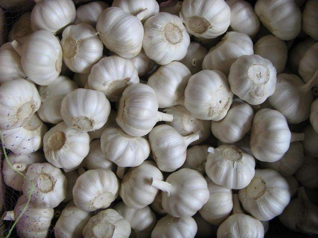 2017 Fresh White Garlic From Jinxiang, China