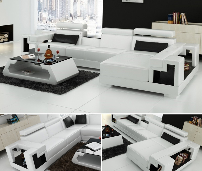 Chinese Modern Furniture Sectional Living Room Leisure Leather Sofa (HC1012)