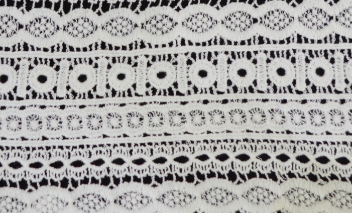 Newset Pattern Lace Fabric Embroidery Fashion and Beautiful E10004