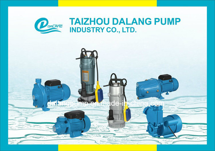 0.5HP/1HP High Quality Vortex Water Pump Manufacturer in China