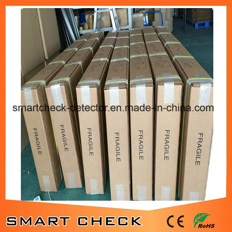 Smart Check Secugate 650 33 Zone Aluminum Security Door