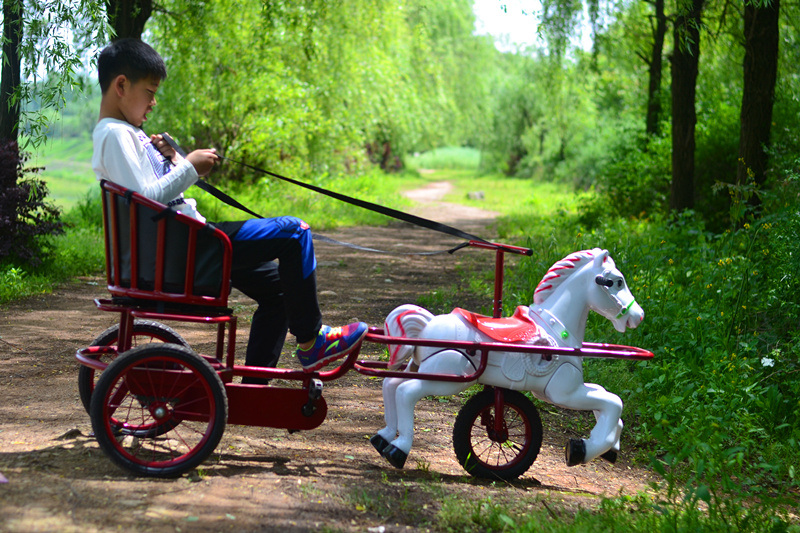 New Amusement Park Kids Pedal Horse Cart, New Design Carousel Cart