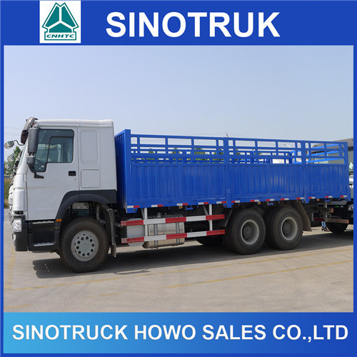 Heavy Duty 10 Wheels HOWO 6X4 Cargo Truck for Sale