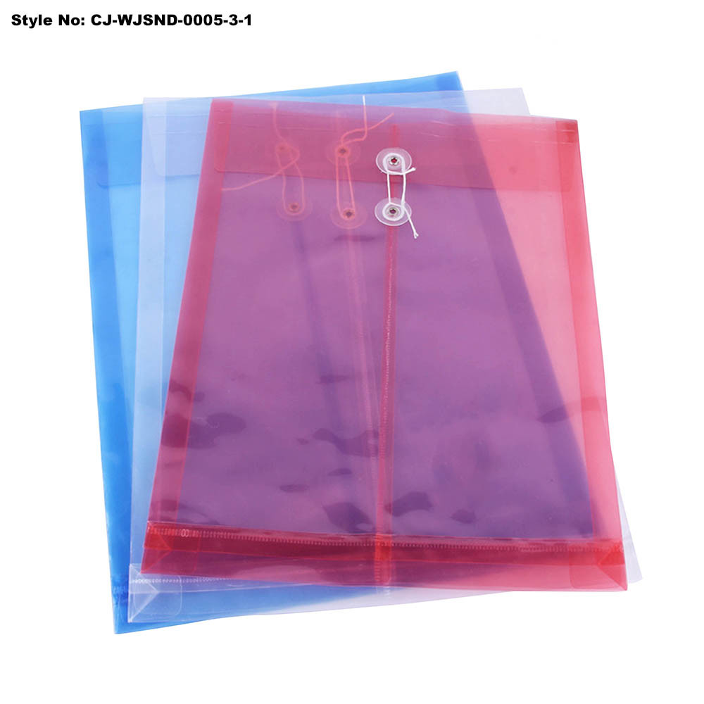 Custom Plastic Color Transparent Folder, Document Folder Office Stationery