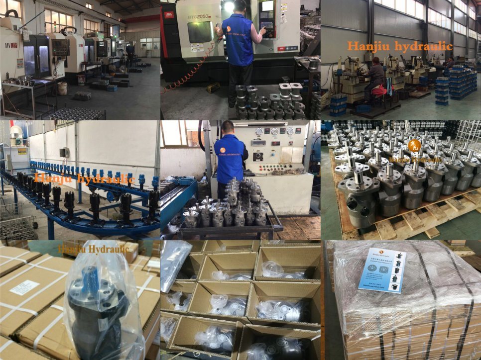 Hydraulic Spare Parts for Sprayer Hydraulic Motor Bmr Series