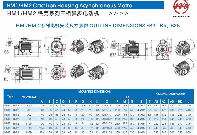 Hm (Y2, YE2, YE3) Series Three Phase High/ Premium Efficiency Electric Motor