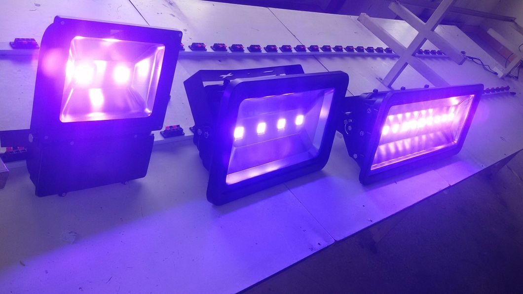 10W/20W/30W/50W/100W/150W/200W/250W 380nm UV LED Flood Light