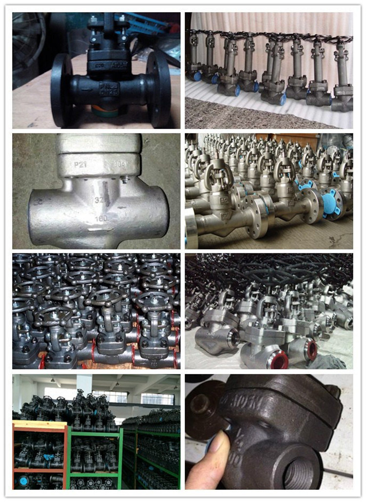 Stainless Steel F304 F316 Forged Steel Gate Globe Check Valves