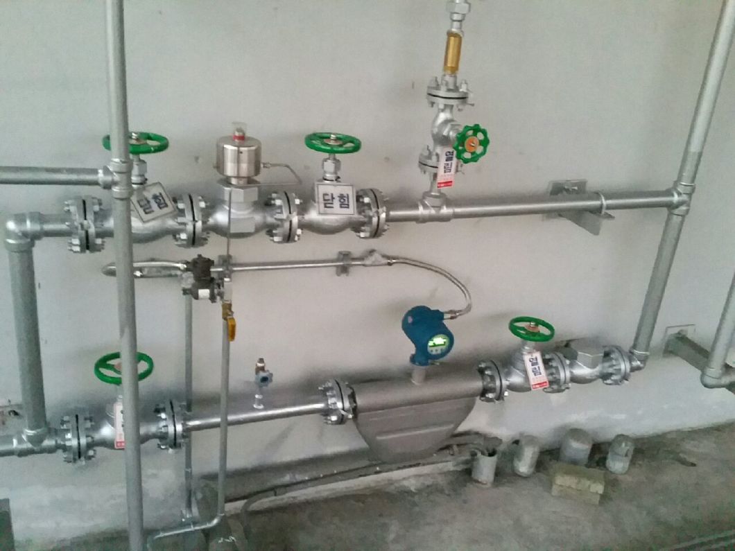 Liquid Flow Meter Coriolis Mass Flow Meter (LZYN)