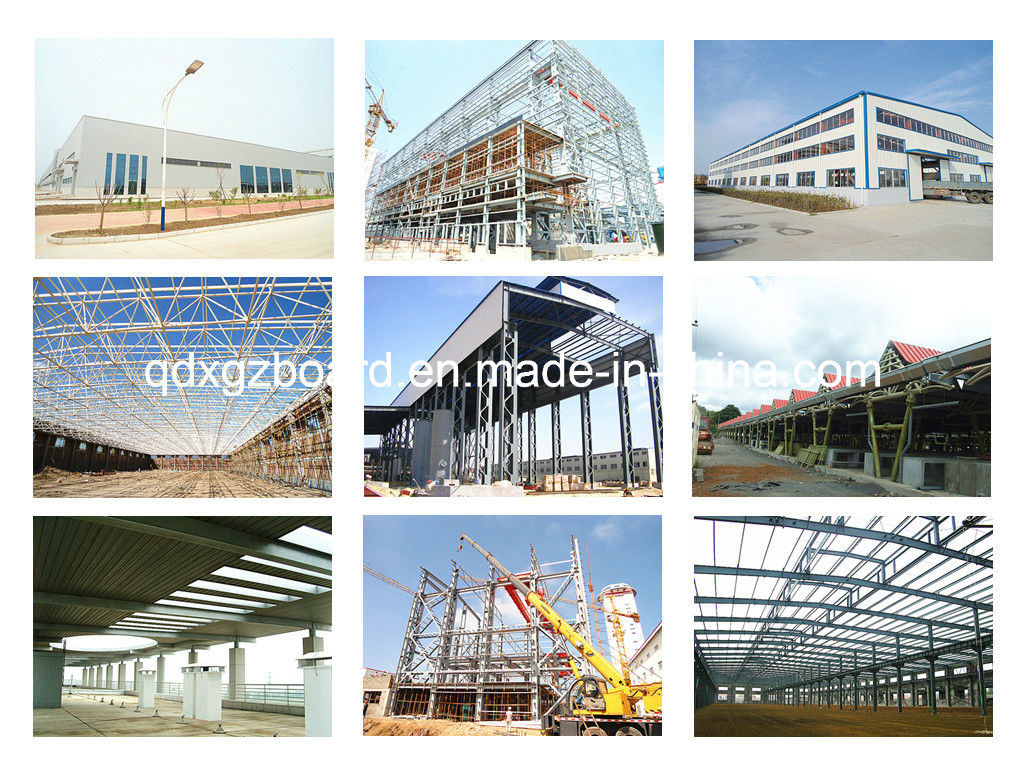 Light Steel Structure Warehouse/Building/Workshop (BYSS014)