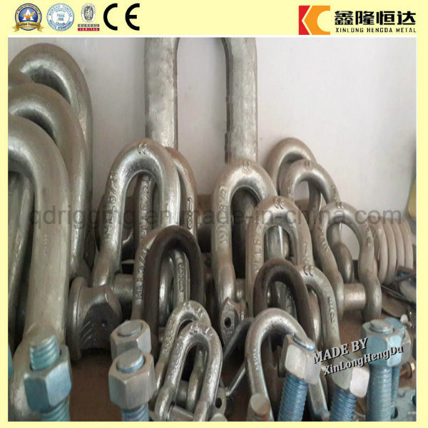 Factory Price Screw Pin Anchor U Shackle with Good quality