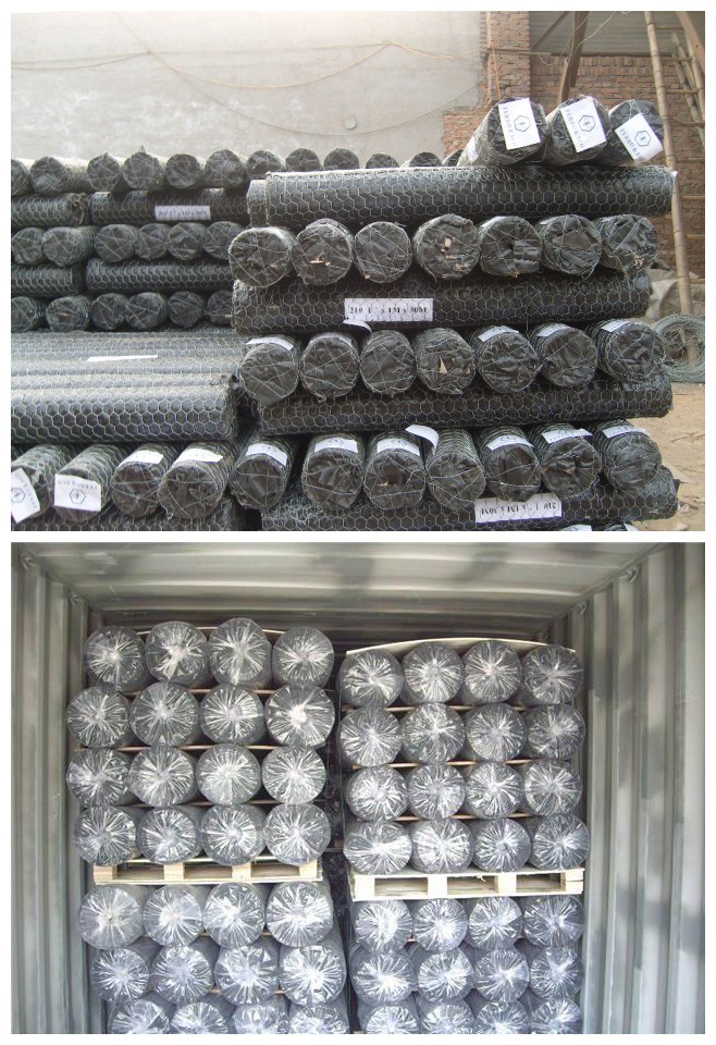 1/4 Inch Galvanized Chicken Wire Mesh