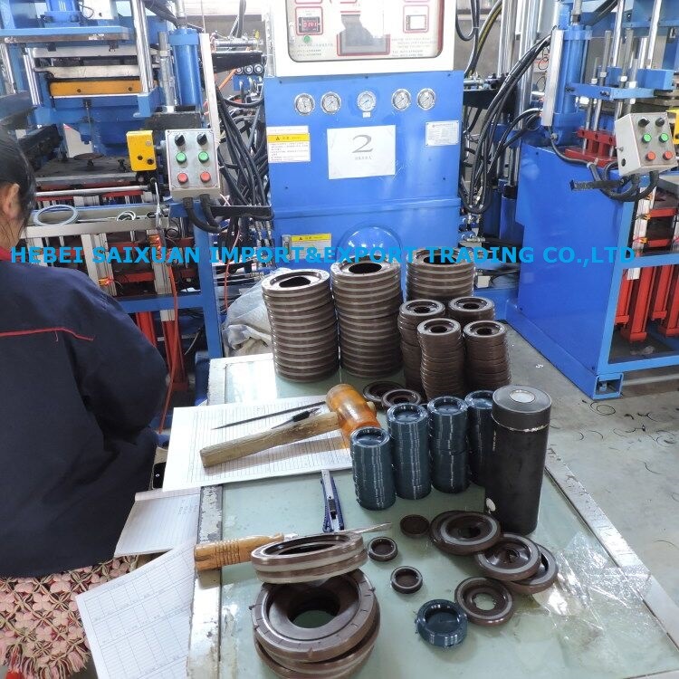 Standard and Non-Standard Dkb/Dkbi Dust Hydraulic Cylinder Seal