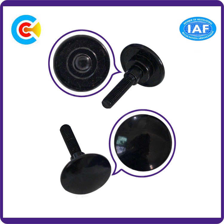 Carbon Steel/4.8/8.8/10.9 M5 Customized Mechanical Handle Round Head Step Screws