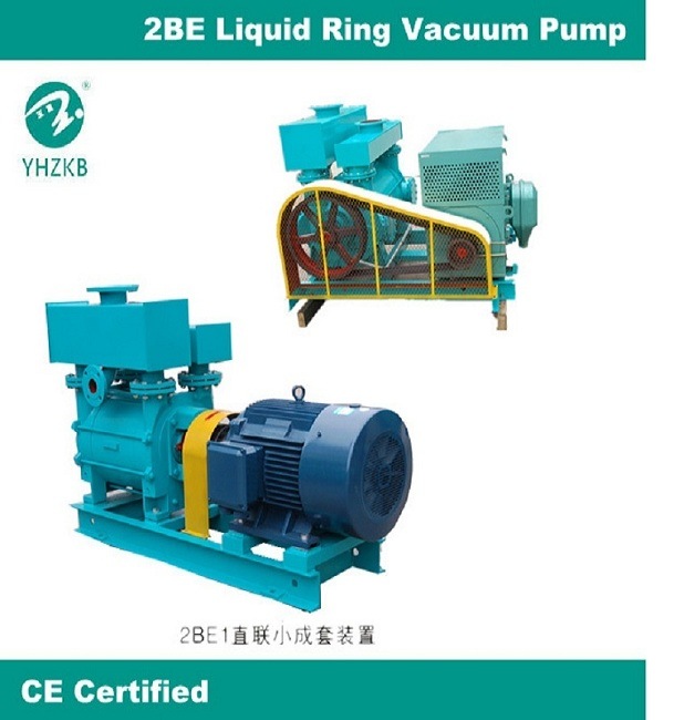 Big Capacity Liquid Ring Vacuum Pump and Compressor for Paper Mill