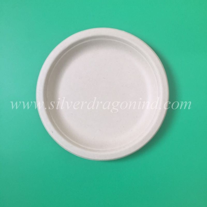 China Made Eco-Friendly Disposable Sugarcane Pulp Paper Plate