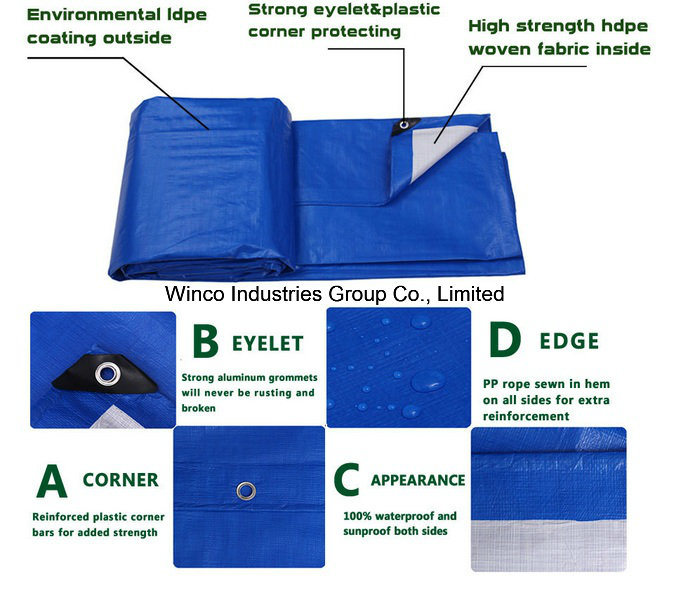 Blue Tarpaulin with Eyelet