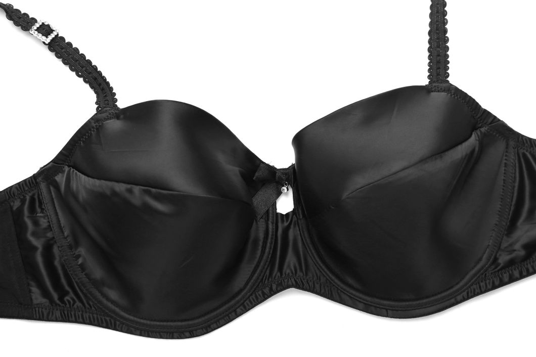 Plus Size Ladies Bra in Good Quality