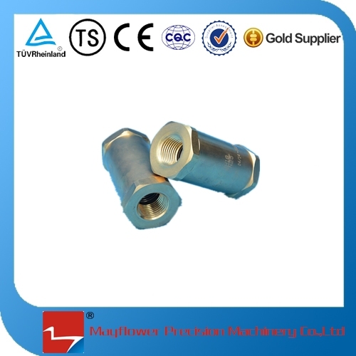 Check Valve for Cryogenic Gas Cylinder