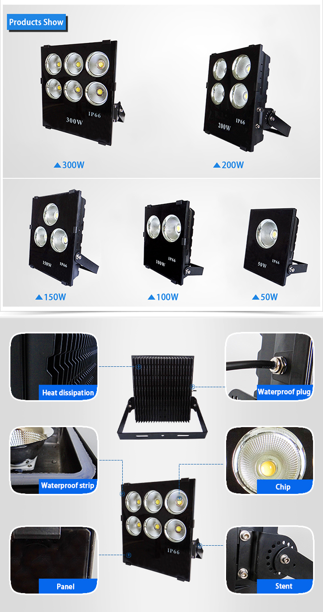 100W Best Outdoor Spotlight Flood Lighting IP66 LED Flood Light