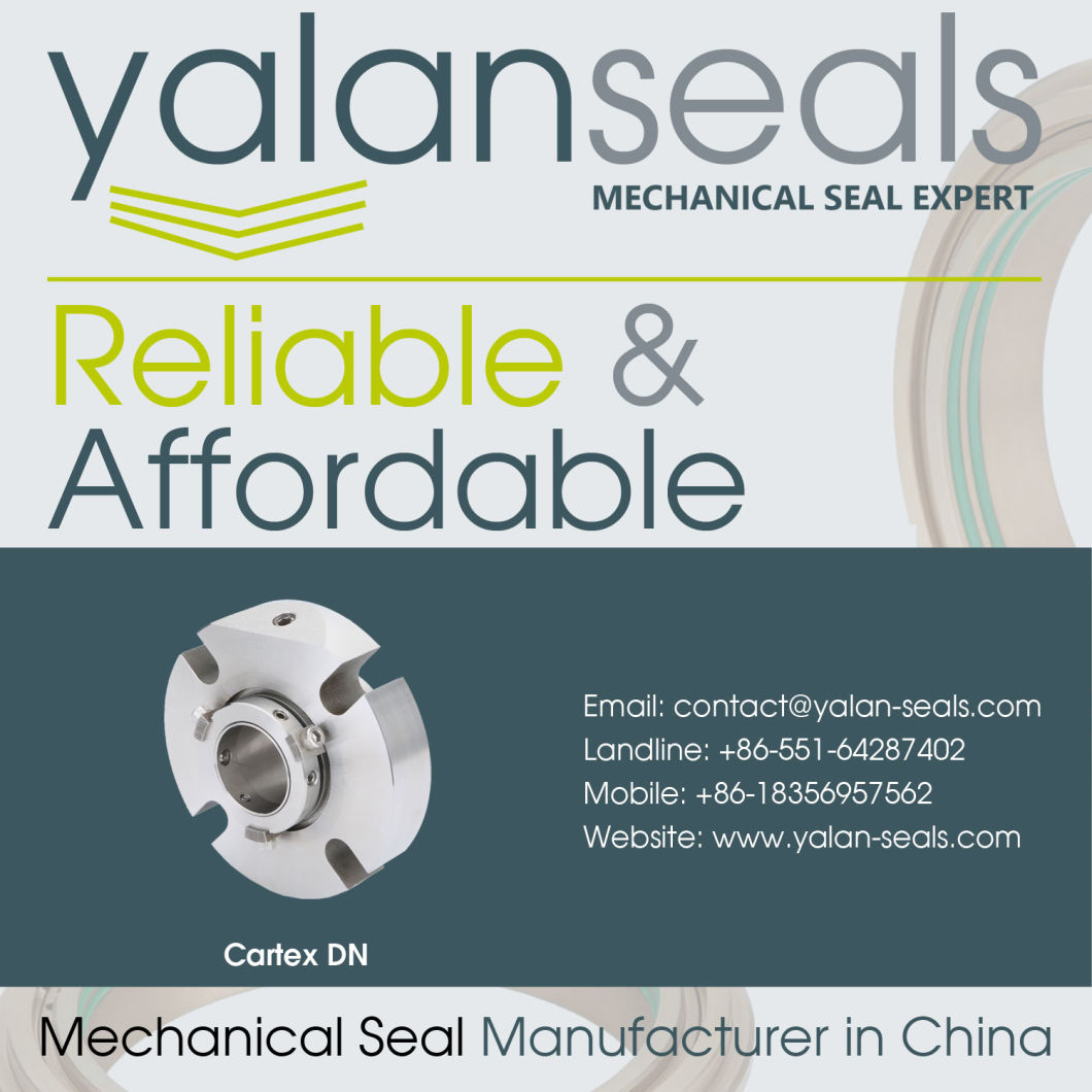 Cartex DN Mechanical Seal for Chemical Centrifugal Pumps, Vacuum Pumps, Compressors