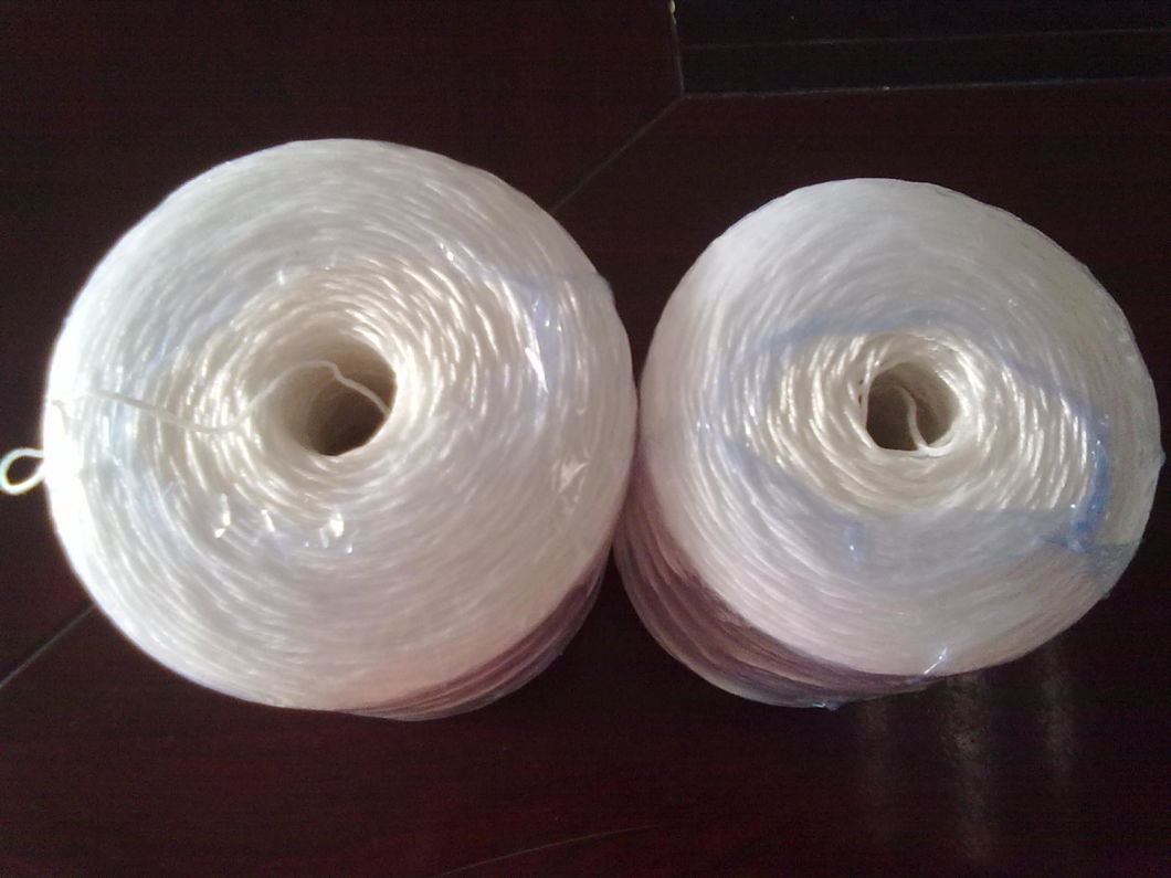 Plastic Rope PP Rope Manufacturer in China