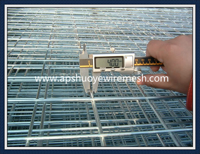 Welded Wire Mesh Panel for Garden Fence