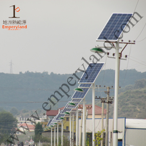 25W LED Solar Street Lighting with 6m Pole (DZS-06-25W)