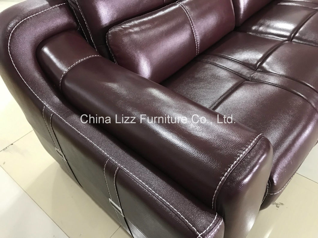 Living Room Home Leather Sofa