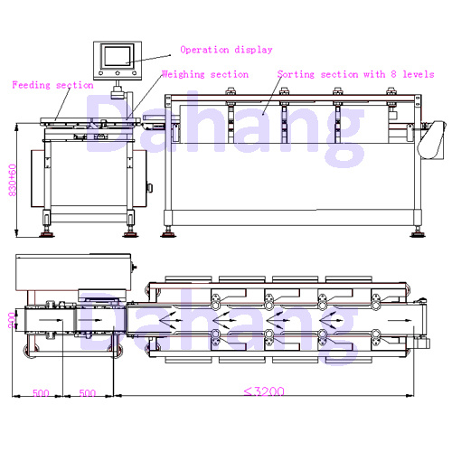 Stainless Steel 304 Frozen Fish Automatic Weight Sorter