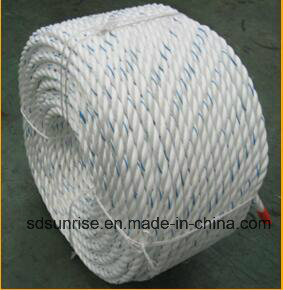 Hot Selling 8 Strand PP Danline /PP Multifilament Ropes with Premium Quality