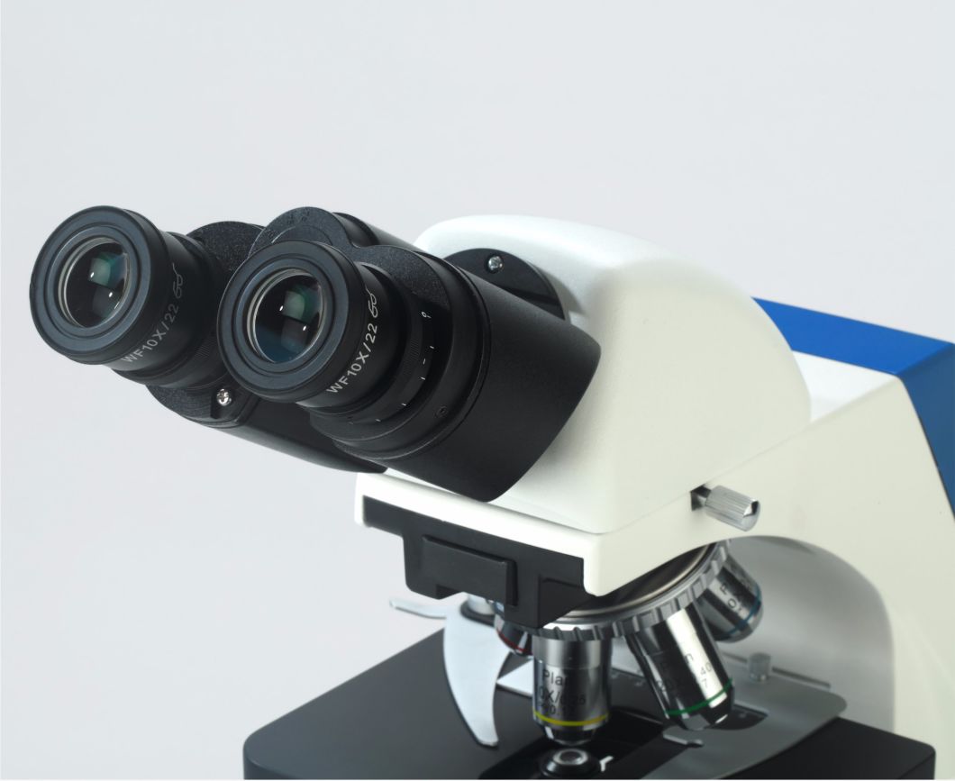 Precision Engineering Light Microscope for Professional Microscope